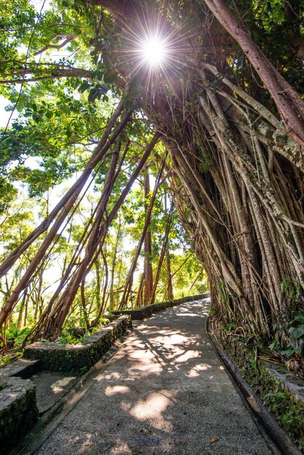 Palau Carolines Resort Koror Kültér fotó